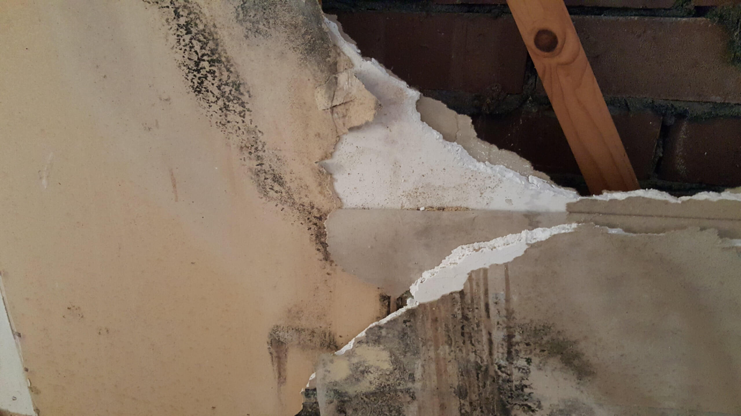 Mould Inside the home can be avoided!