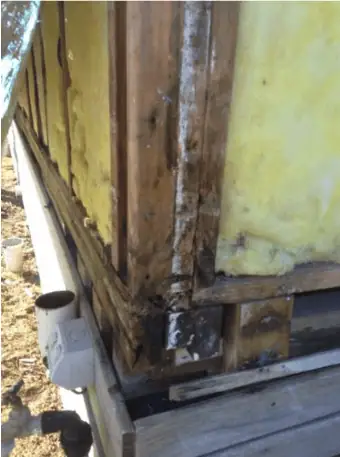 Mouldy frame